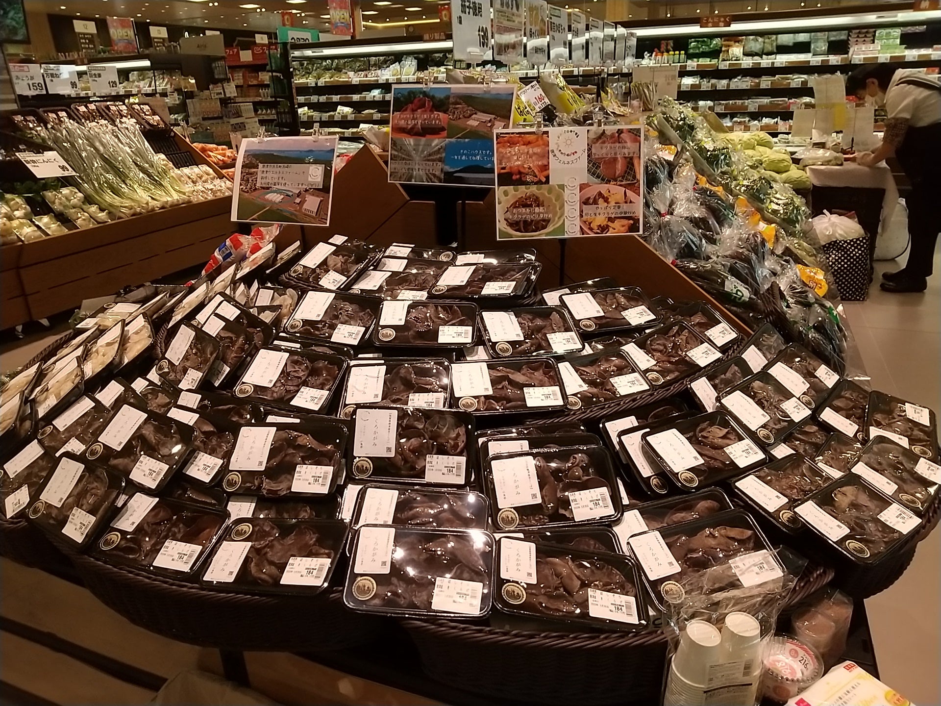 きくらげの試食会をしています!