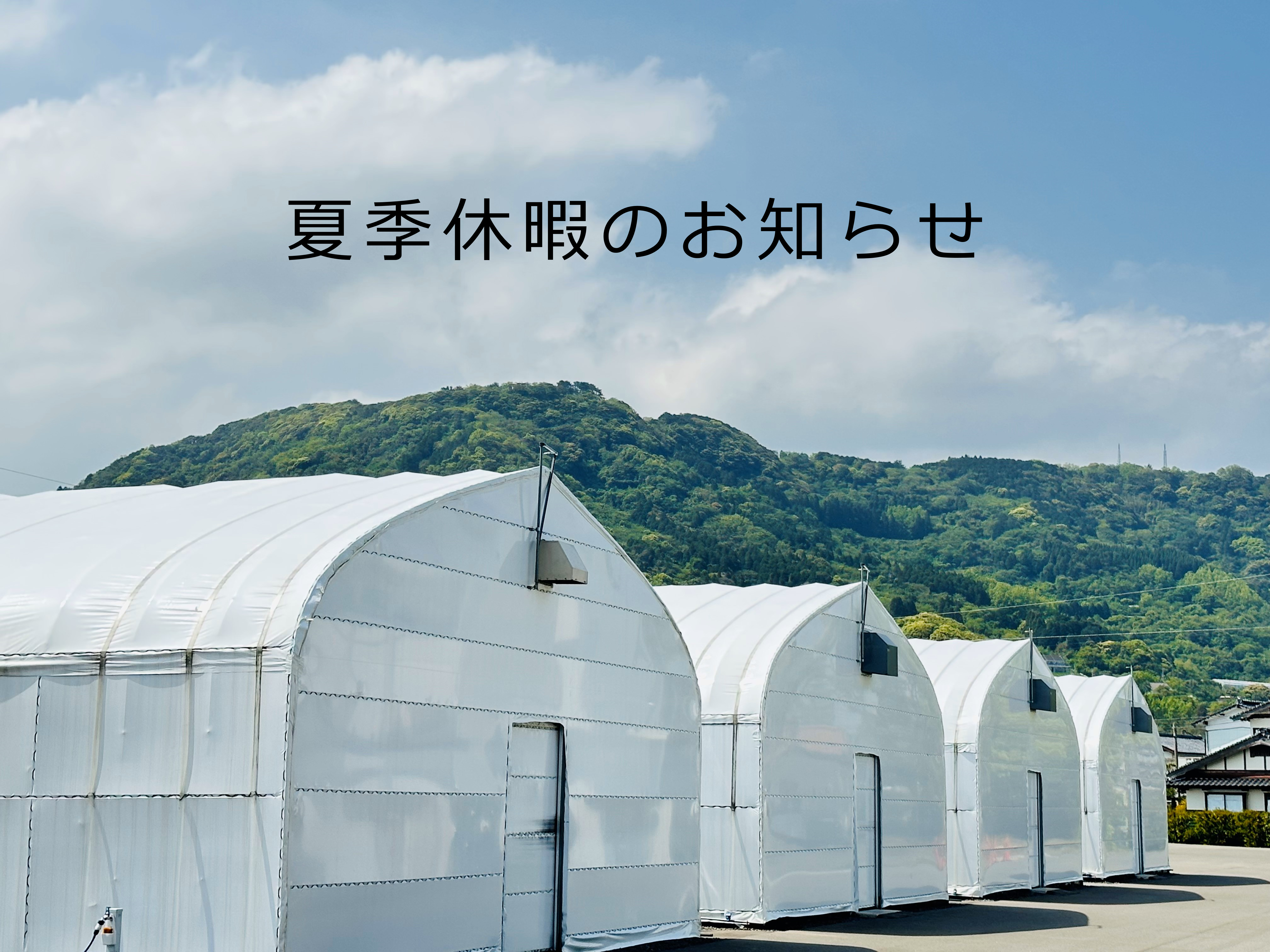 夏季休暇のおしらせ