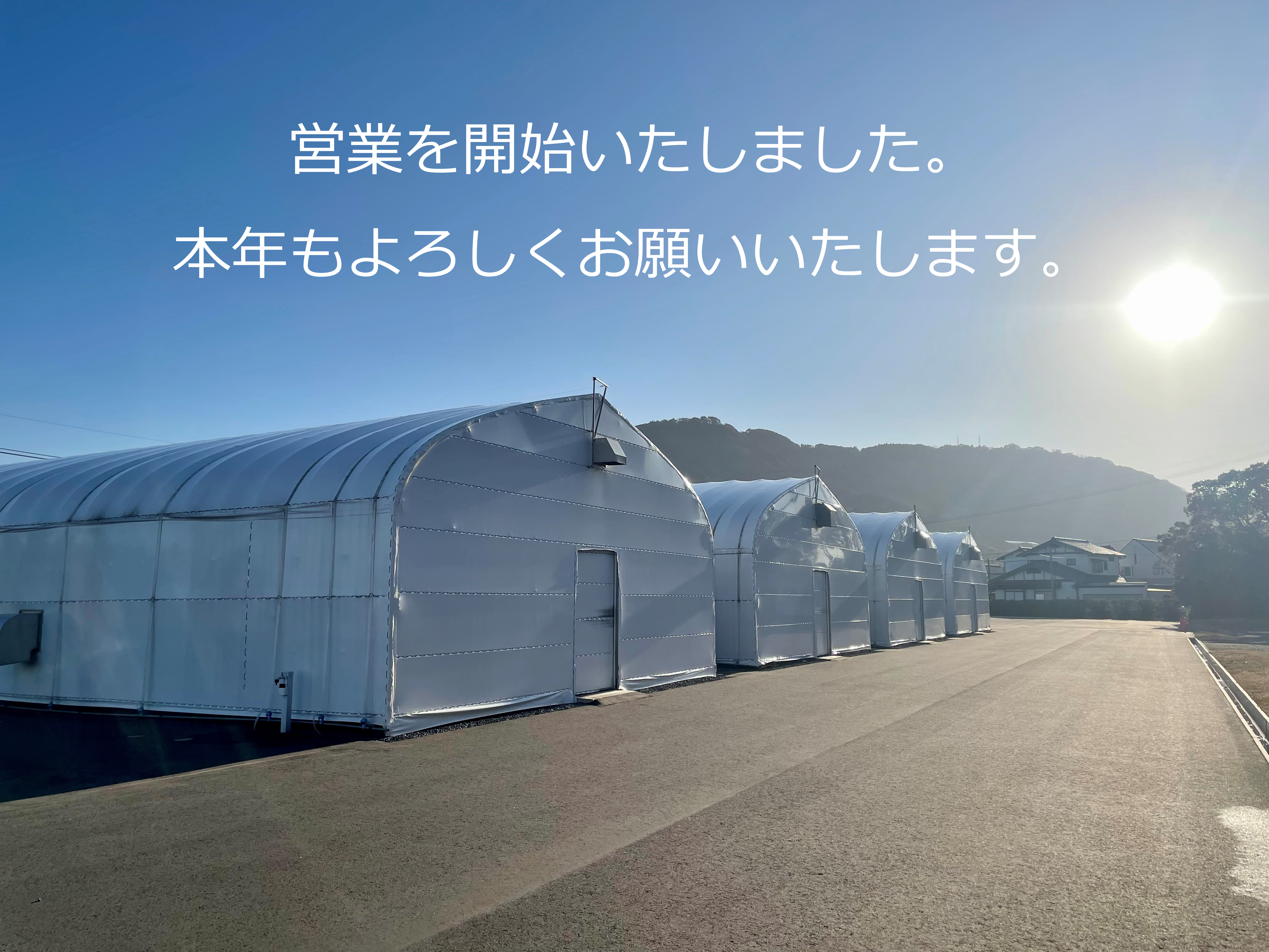 2023年の営業を開始いたしました！