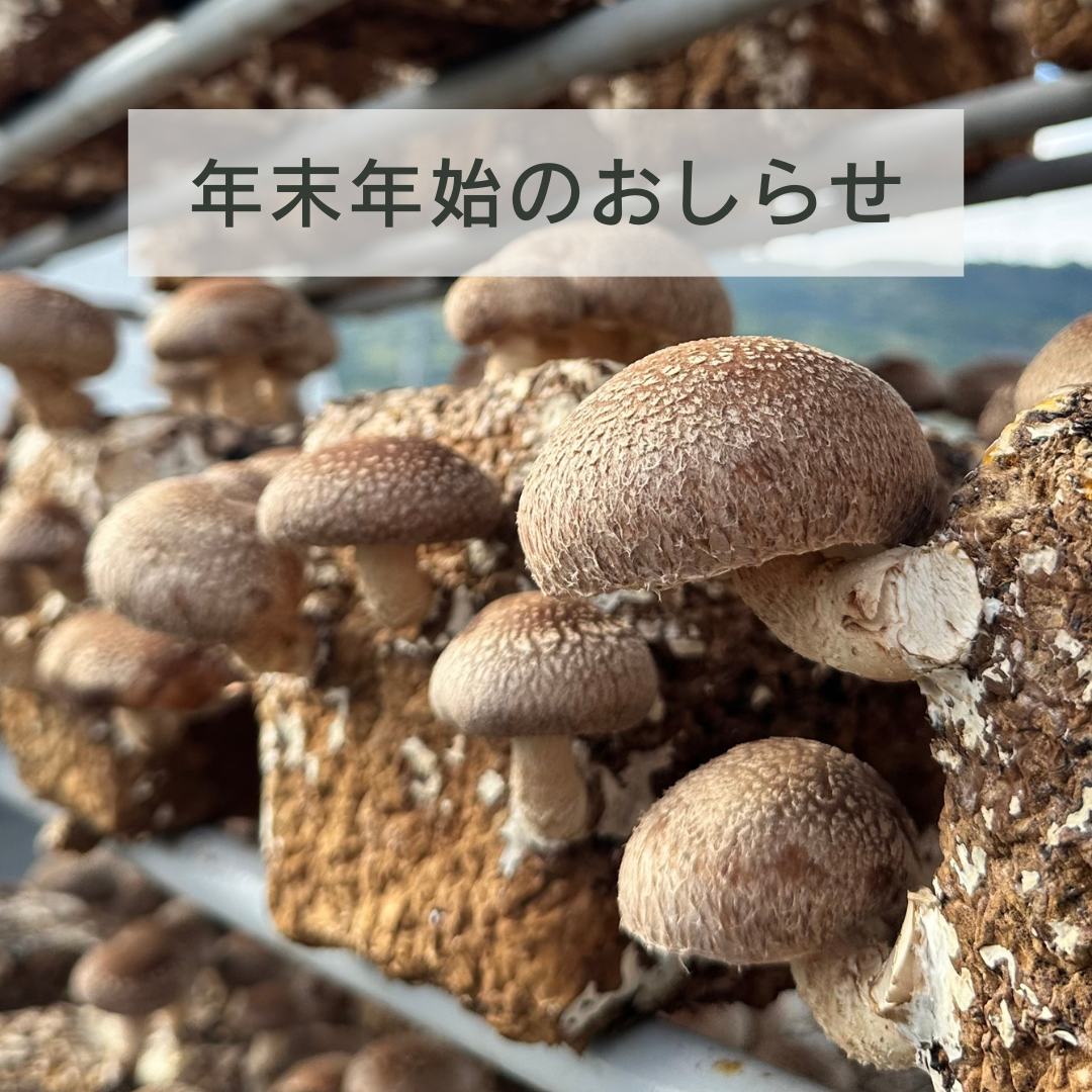 年末年始のおしらせ