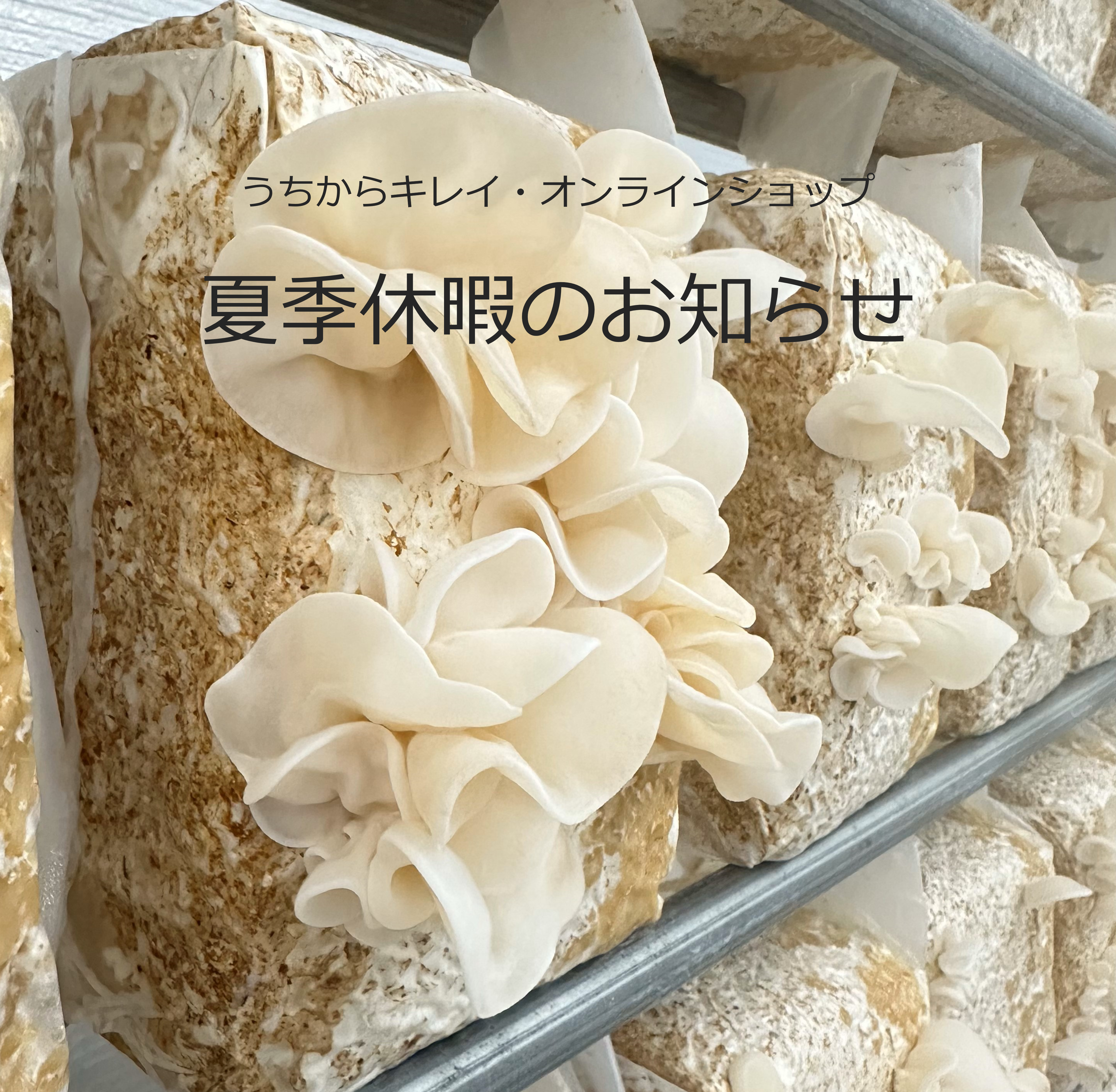 【夏季休暇のおしらせ】