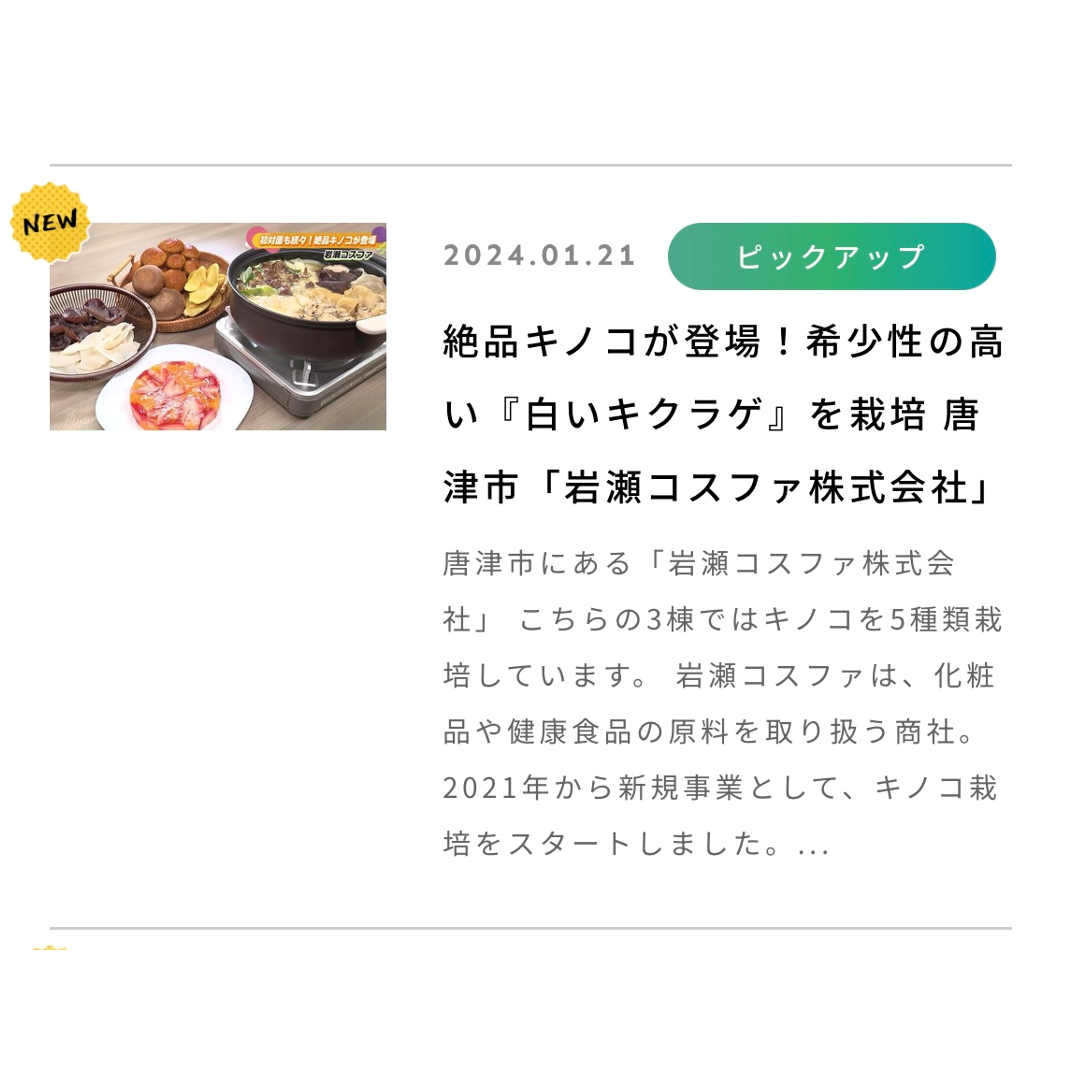 かちかちPress（サガテレビ）で紹介されました！