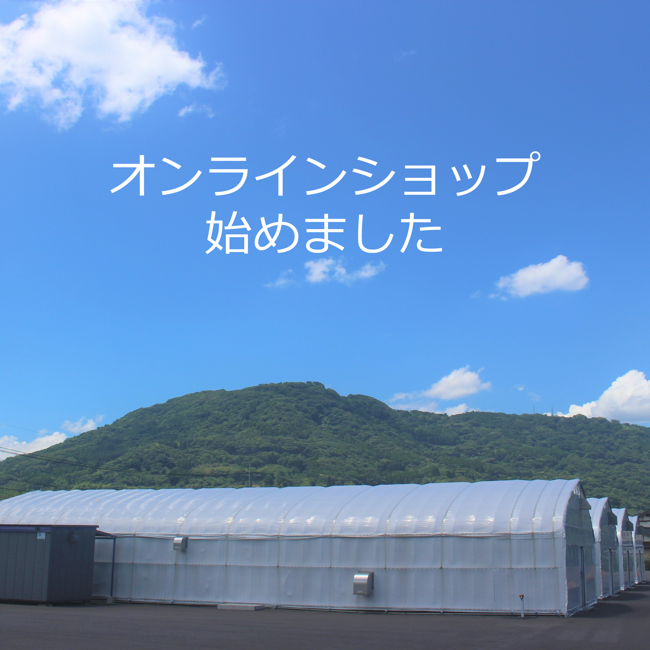 オンラインショップをオープン！！