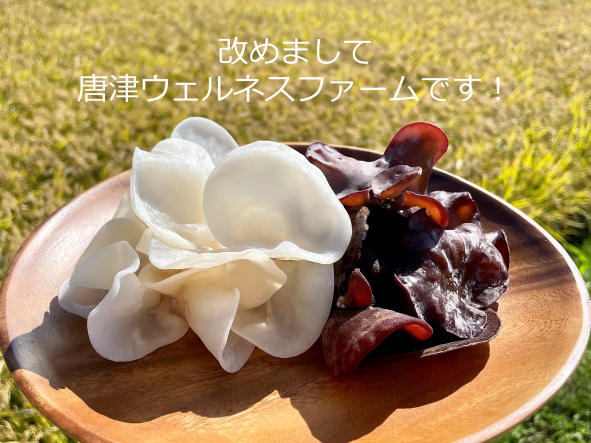 唐津ウェルネスファームです！