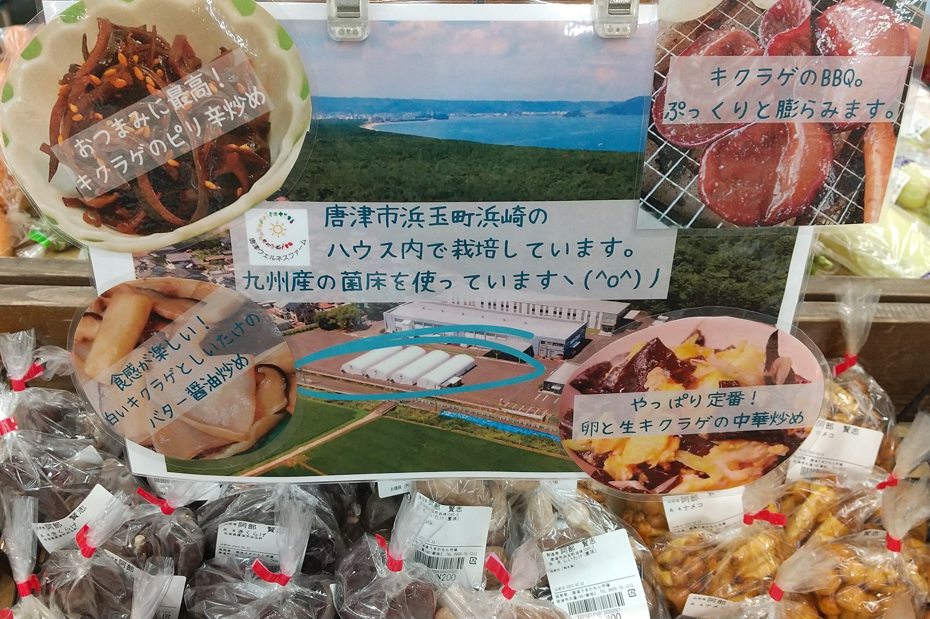 【取扱店情報】唐津うまかもん市場（唐津）