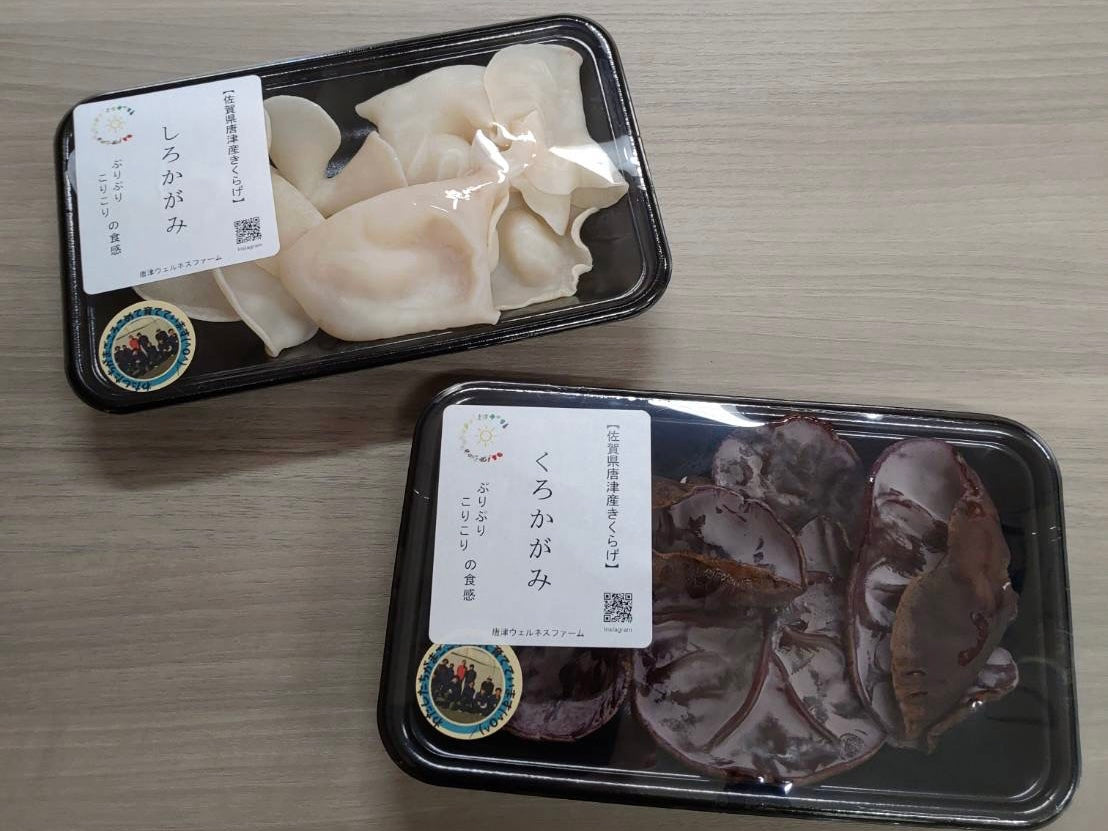 【取扱店情報】まいづるナイン（唐津市内４店舗）