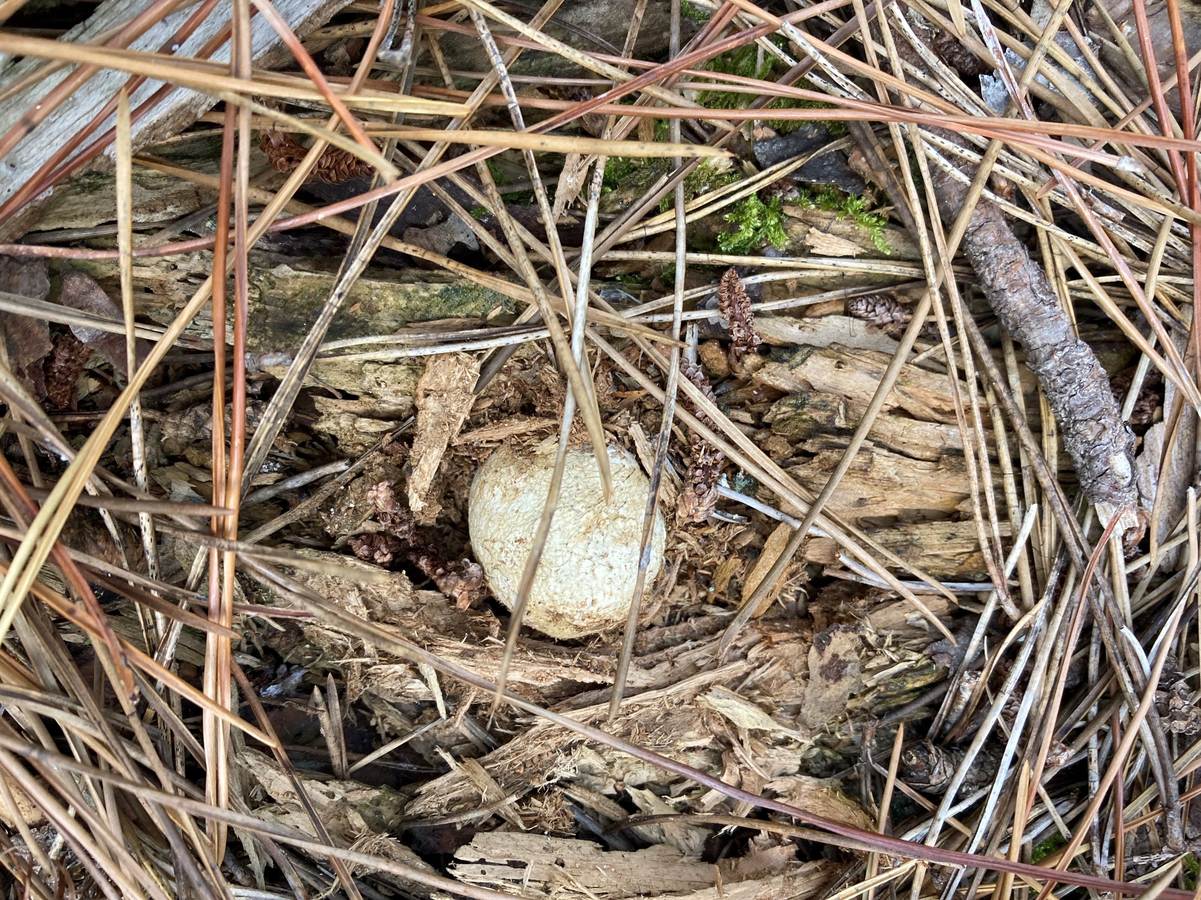 合同菌株採取会に参加しました