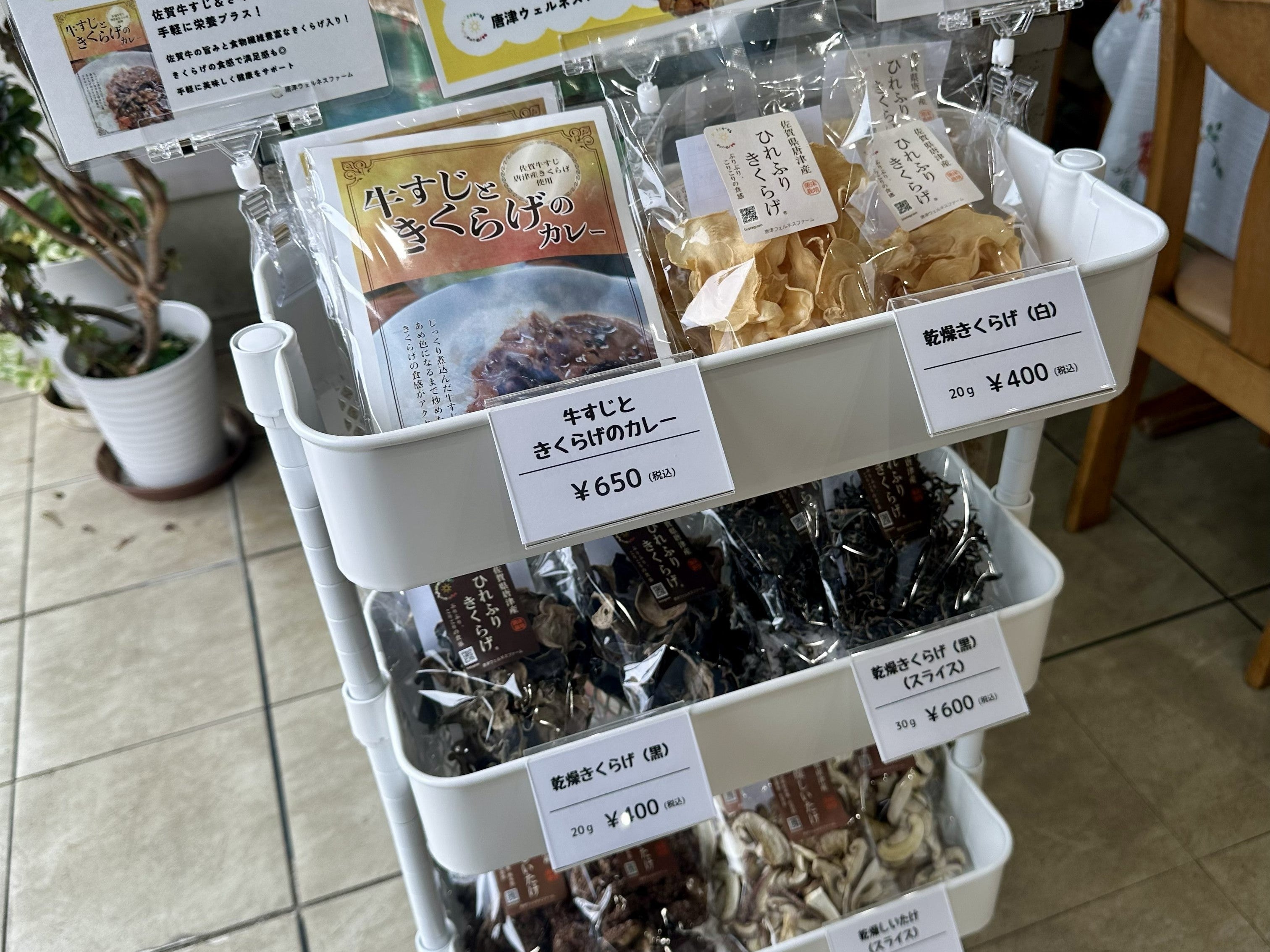 ✨取扱店情報✨ 佐々木けいらん