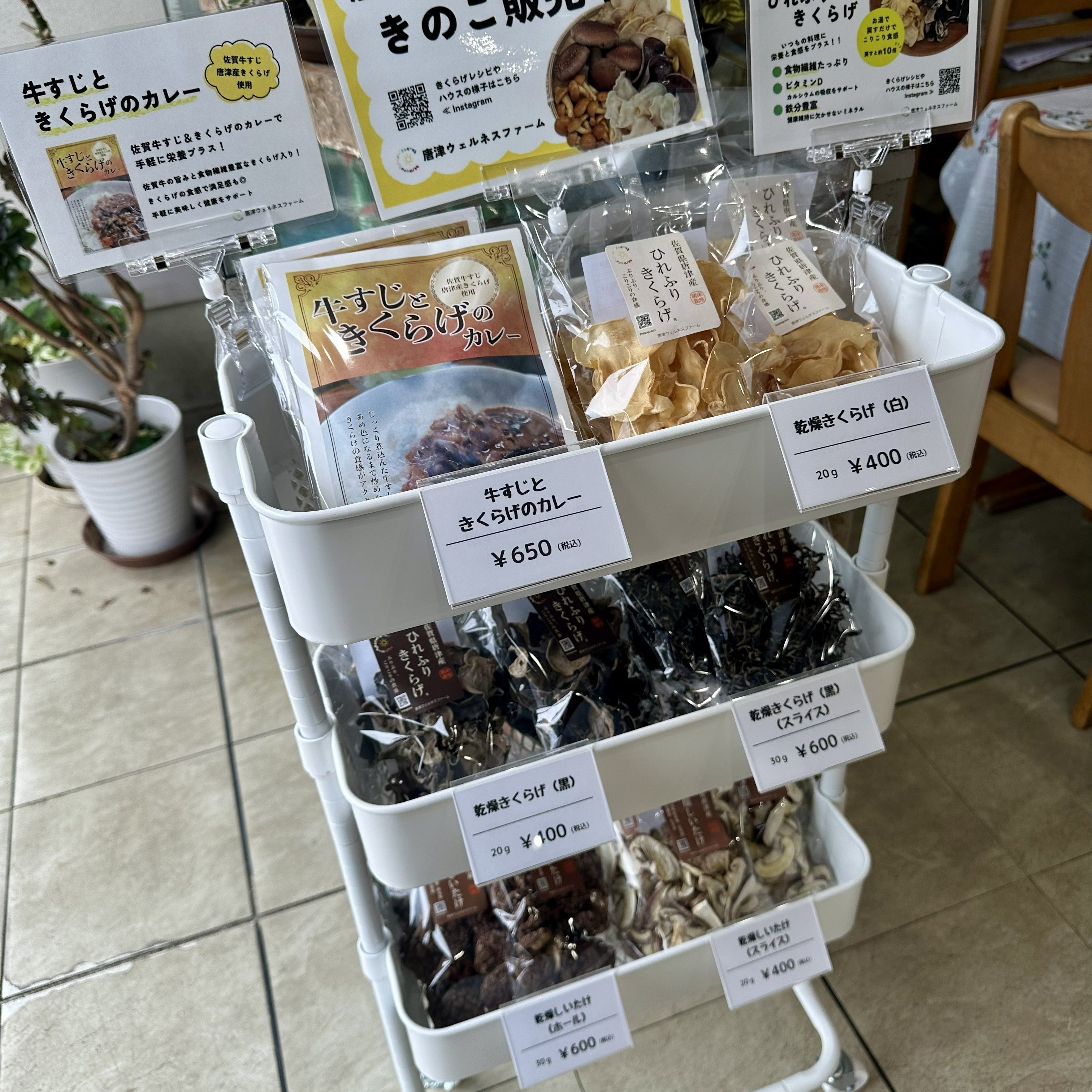 ✨取扱店情報✨ 佐々木けいらん