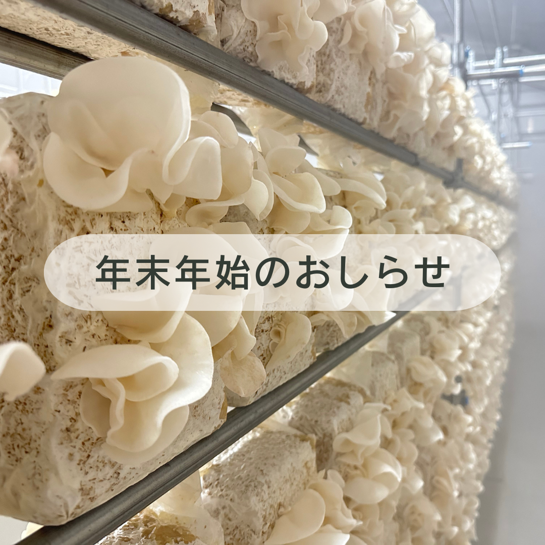 年末年始のおしらせ